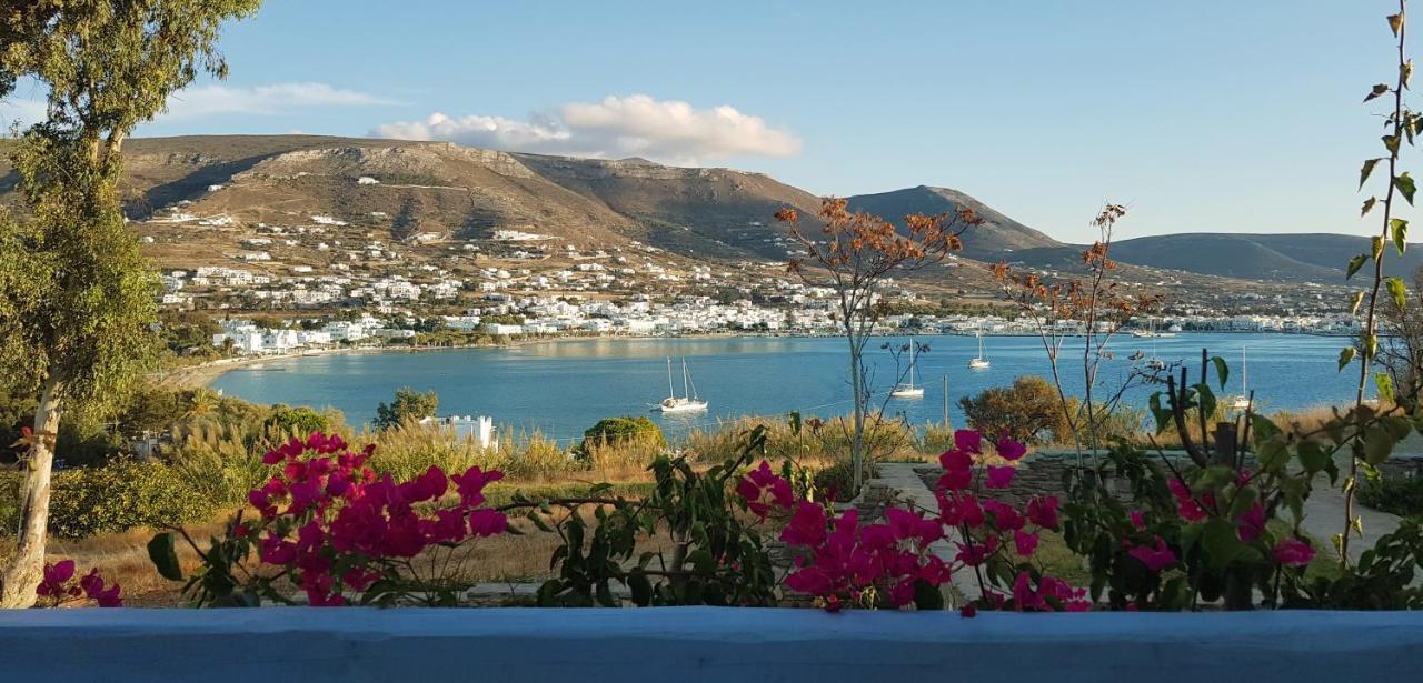 Paros Paradise Apartments Dış mekan fotoğraf