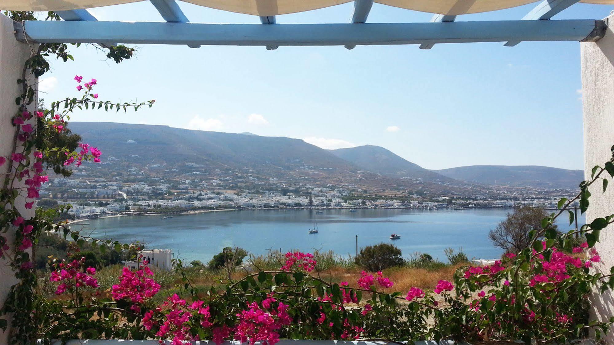 Paros Paradise Apartments Dış mekan fotoğraf